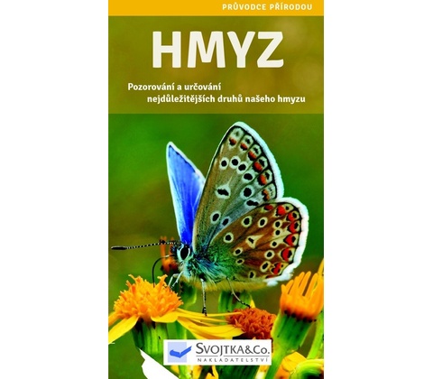 Hmyz
