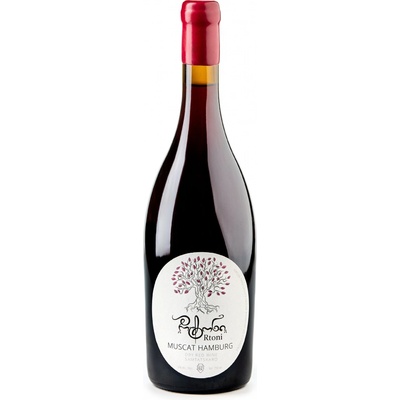 Rtoni Kvevri červené Mushkati red 2021 Rtoni suché 13% 0,75 l (holá láhev)