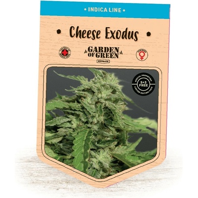 Garden Of Green Seedbank Cheese Exodus semienka neobsahujú THC 15 ks