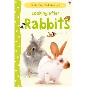 Looking after Rabbits | Fiona Patchett (2013)