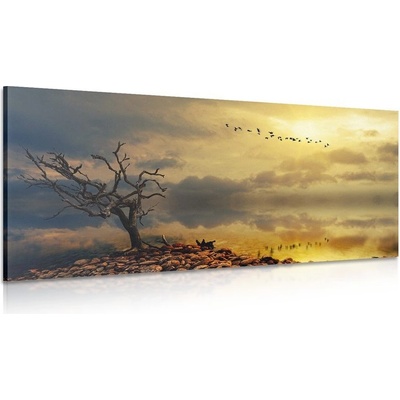 Obraz vyschlý strom - 120x60