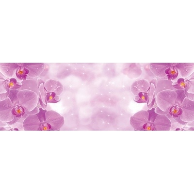 Preinterier FT5619 Fototapeta na stenu Fialové orchidey vlies 620cm x 219cm