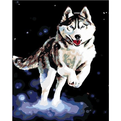 ZUTY Malování podle čísel HUSKY 40 x 50 cm