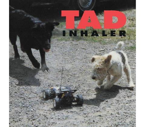 Tad: Inhaler LP