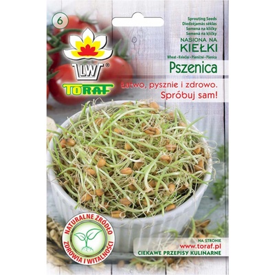Nohel Garden Klíčky PŠENICE 50 g