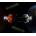 Planets Battle