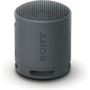 Sony SRS-XB100B
