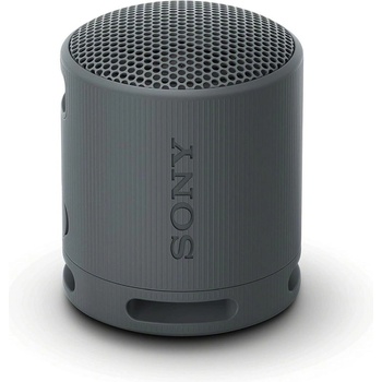 Sony SRS-XB100B