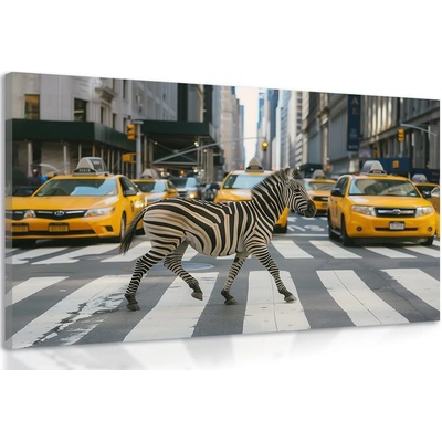 Obraz zebra v New Yorku - 120x80