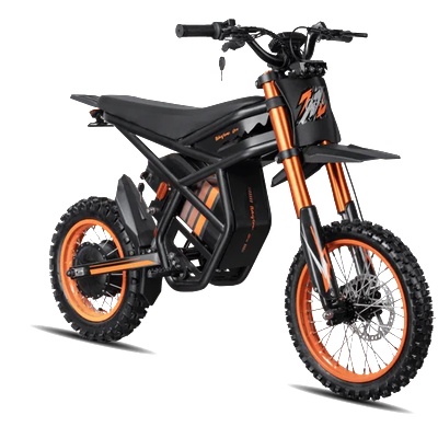 Riding Times GT54 | 2000W | 48V, 27Ah | 65 km/h