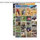Kartové hry Rappa Pexeso zvieratká v ZOO