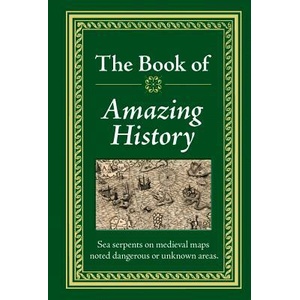 Amazing History (ISBN: 9781450807456)