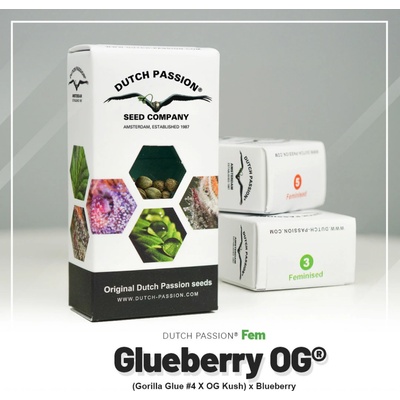 Dutch Passion Glueberry O.G semena neobsahují THC 10 ks
