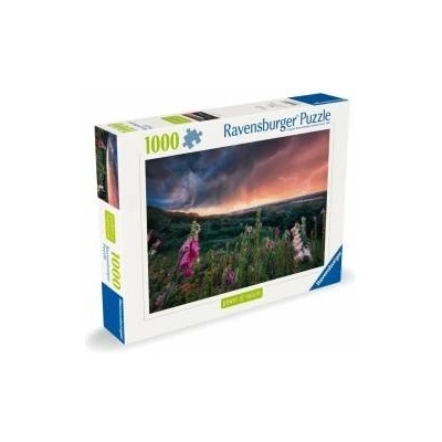 Ravensburger Puzzle 1000 The storm is coming