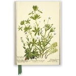 Flame Tree Publishing RBGE: Charlotte Cowan Pearson: Stitchworts, Woodruff and Pepperwort (Foiled Journal) | Flame Tree Studio