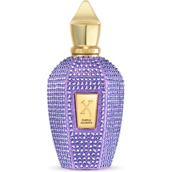Xerjoff "V" Collection Accento Парфюм EDP 100ml