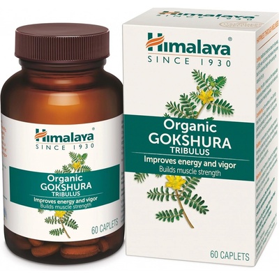 Himalaya Herbals Organic Tumeric 95 BIO 60 kapslí