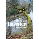 Lužnice