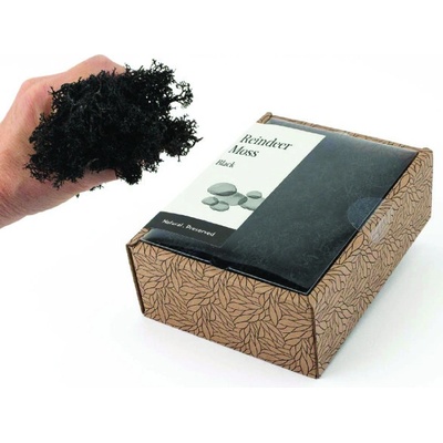 KreaBox - Čierný lišajník