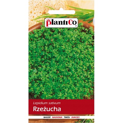 ZÁHRADNÁ ŽERUCHA semená 10 g