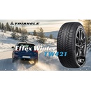 Triangle TW421 Effexwinter 225/45 R19 96V