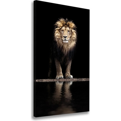 Vertikálny foto obraz na plátne do obývačky Portrét leva 50x100 cm