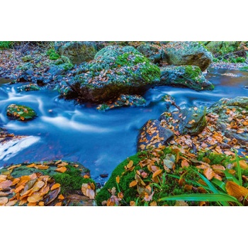 DIMEX ART s. r. o Флизелинов фототапет белгийски ардени 375 x 250 см