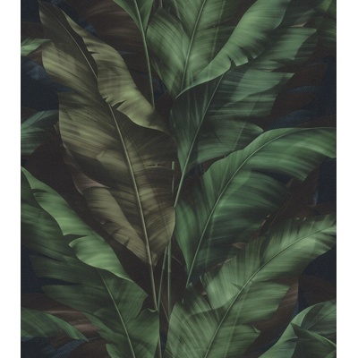 Rasch Samolepicí tapeta na zeď, banánové listy, 0,53 x 6,00 m