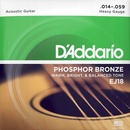 D'addario EJ18