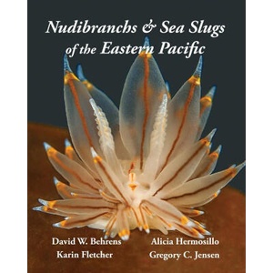Nudibranchs & Sea Slugs of the Eastern Pacific | Karin Fletcher, Gregory C Jensen (ISBN: 9780989839129)