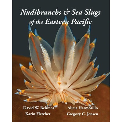 Nudibranchs & Sea Slugs of the Eastern Pacific | Karin Fletcher, Gregory C Jensen