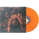 Turnover: Peripheral Vision LTD LP