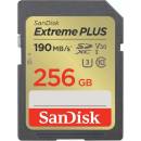 SanDisk SDXC UHS-I U3 256 GB SDSDXWV-256G-GNCIN