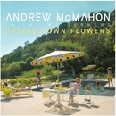 Upside Down Flowers - Andrew McMahon in the Wilderness CD