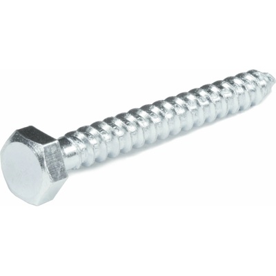 Skrutka do dreva DIN571 ZN, 25ks, 6x40, EXTOL PREMIUM