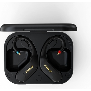 FiiO FW5