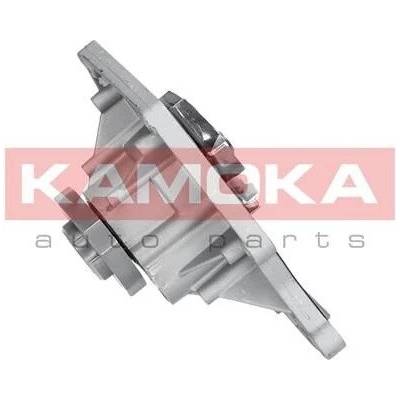 KAM-T0035