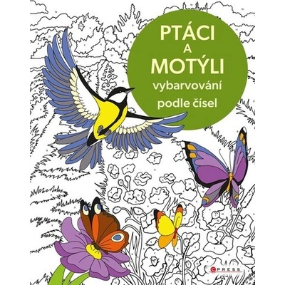 Vybarvování podle čísel: Ptáci a motýli