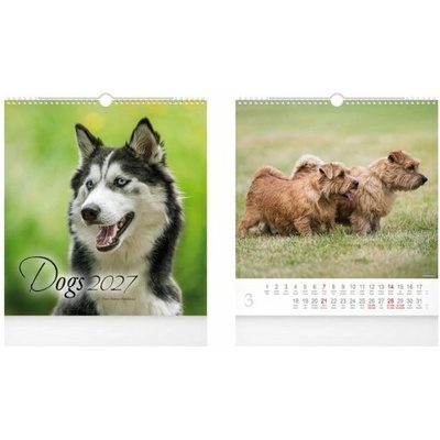 nástenný malý Dogs 1061734 2027