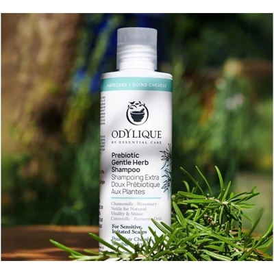 Odylique Bio Prebiotický šampon Gentle Herb 500 ml