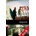 Skyjack! + mp3 Pack -