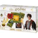 Harry Potter Famfrpál Kvinteto