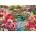 Cobble Hill - Puzzle Japanese Garden - 1 000 piese