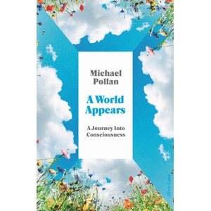 World Appears: Exploring the Labyrinth of Consciousness (2026)