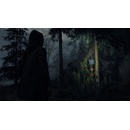 Alan Wake 2 (Deluxe Edition) (XSX)