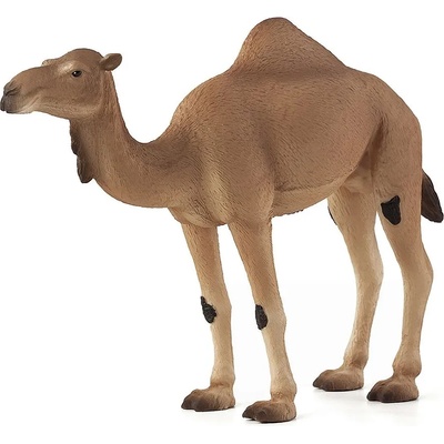 Mojo Фигурка Mojo Wildlife - Едногърба камила (387113)