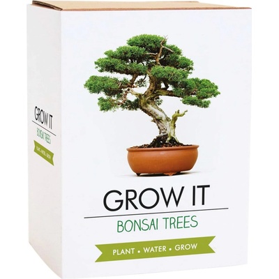 Gift republic Grow it - Bonsai