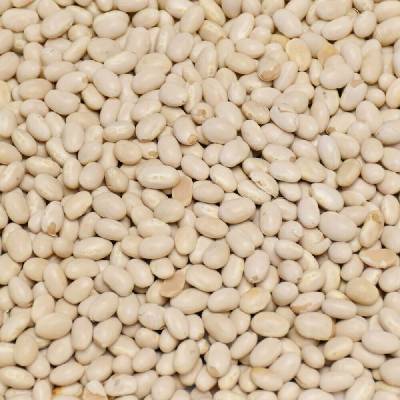 Život bez lepku Fazole malá bílá 2 kg