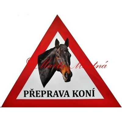 Trojúhelník kůň plnokrevník, hnědák