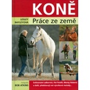 Koně